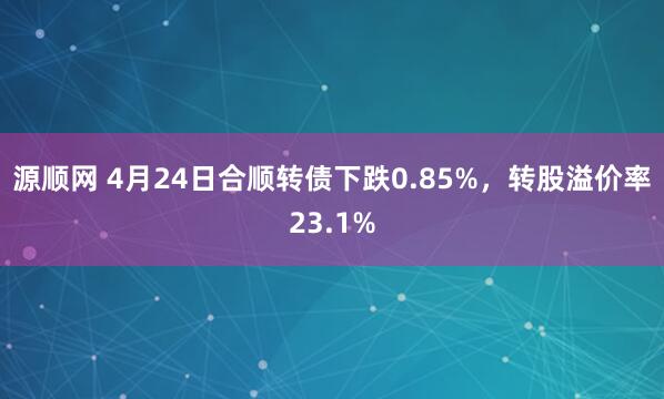 源顺网 4月24日合顺转债下跌0.85%，转股溢价率23.1%
