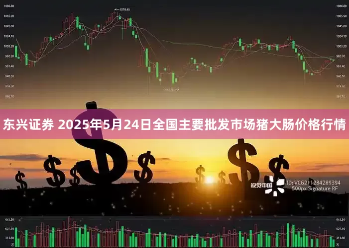 东兴证券 2025年5月24日全国主要批发市场猪大肠价格行情